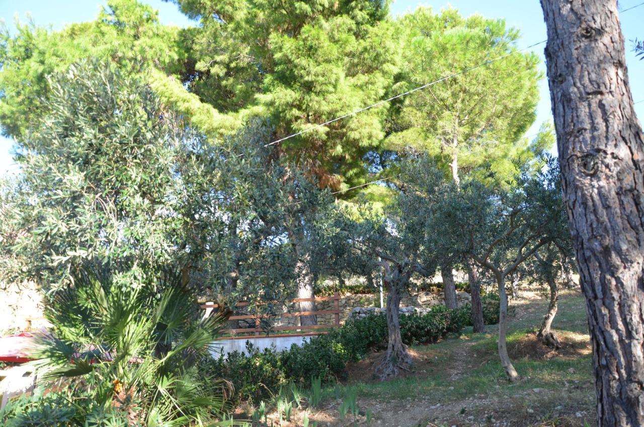 Il Paradiso Di Giacomo Erice Buitenkant foto