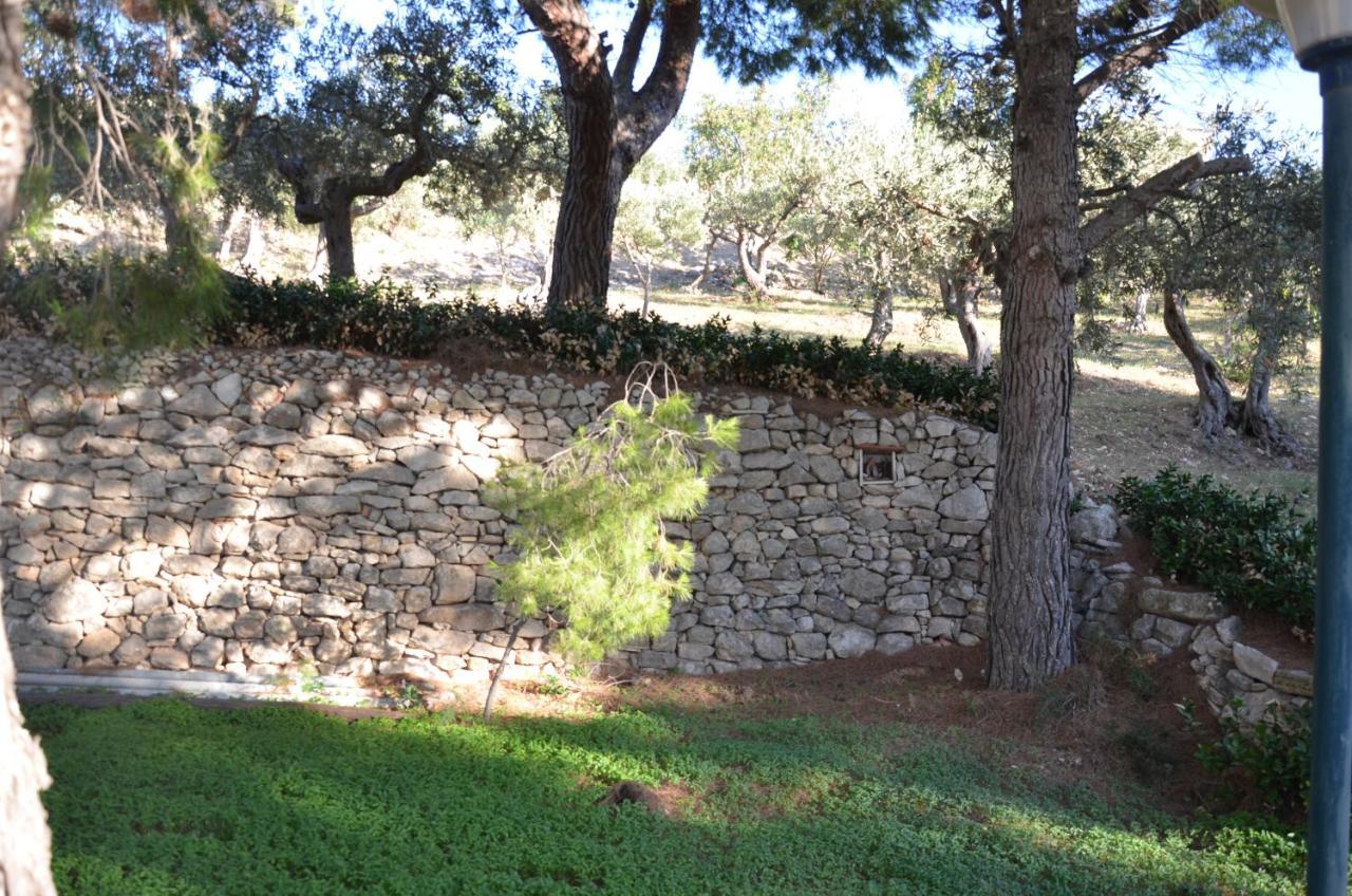 Il Paradiso Di Giacomo Erice Buitenkant foto