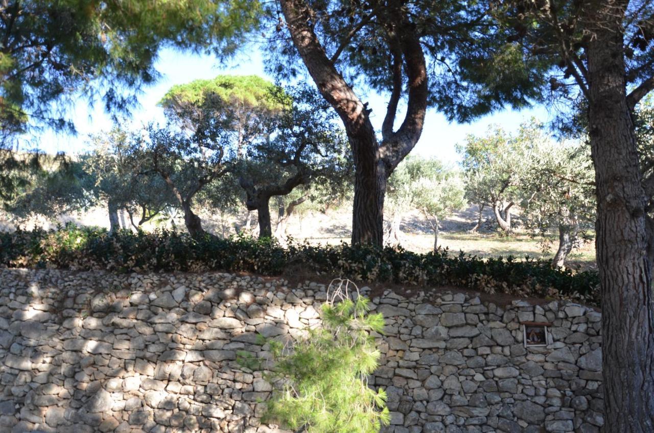 Il Paradiso Di Giacomo Erice Buitenkant foto