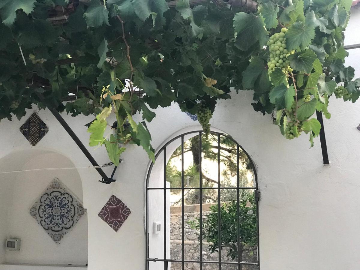 Il Paradiso Di Giacomo Erice Buitenkant foto