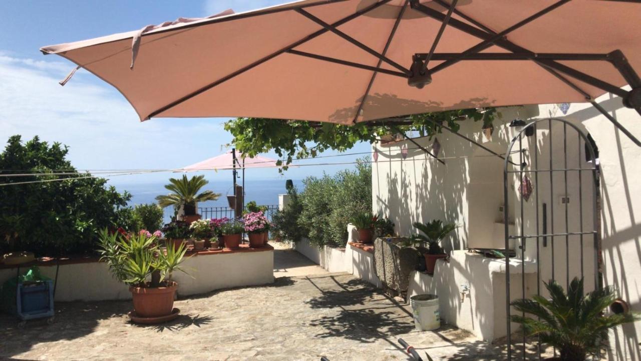 Il Paradiso Di Giacomo Erice Buitenkant foto
